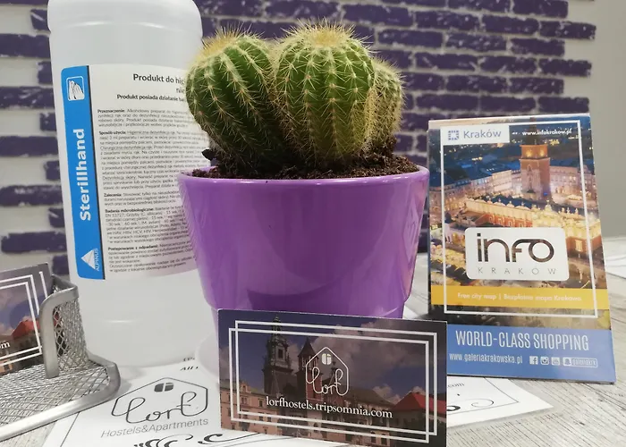 Lorf Hostel&coffee Hostel Krakau